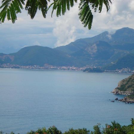 Boutique Home Saltaragazza Petrovac Екстериор снимка