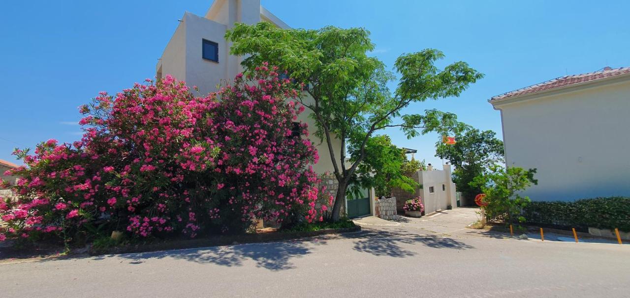 Boutique Home Saltaragazza Petrovac Екстериор снимка