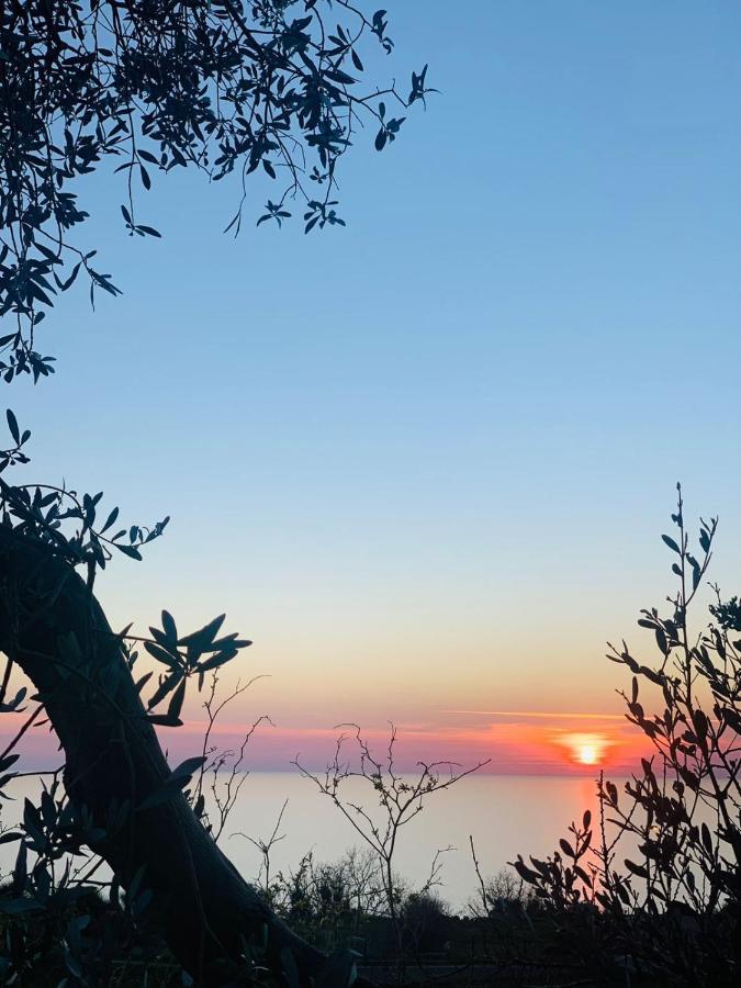 Boutique Home Saltaragazza Petrovac Екстериор снимка