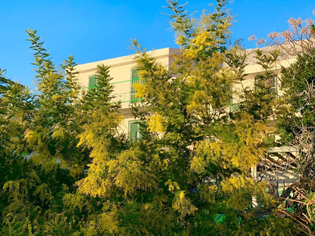 Boutique Home Saltaragazza Petrovac Екстериор снимка