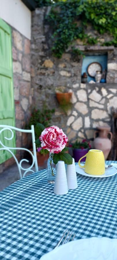 Boutique Home Saltaragazza Petrovac Екстериор снимка