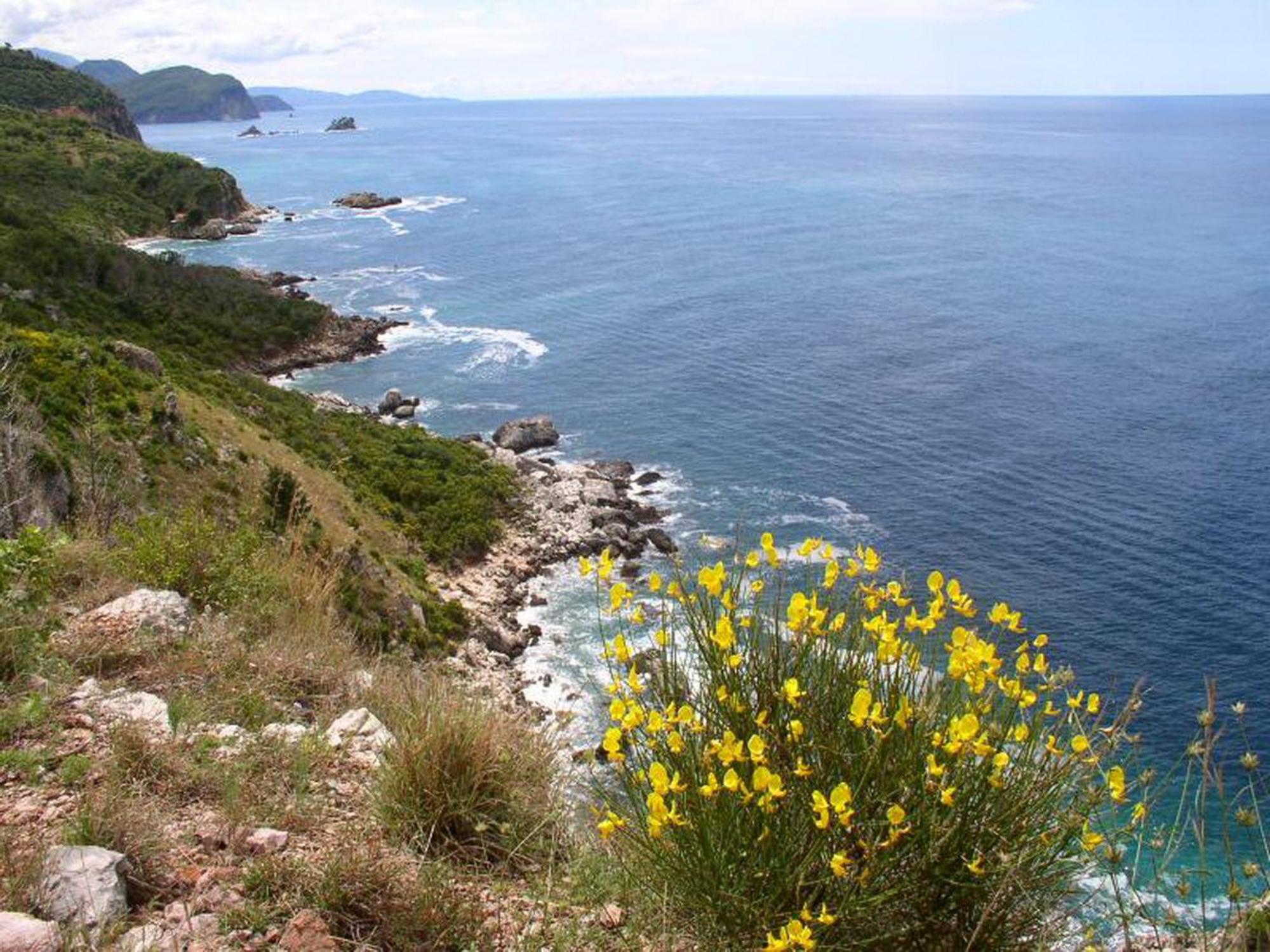 Boutique Home Saltaragazza Petrovac Екстериор снимка