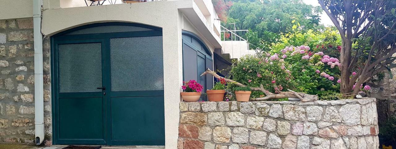 Boutique Home Saltaragazza Petrovac Екстериор снимка