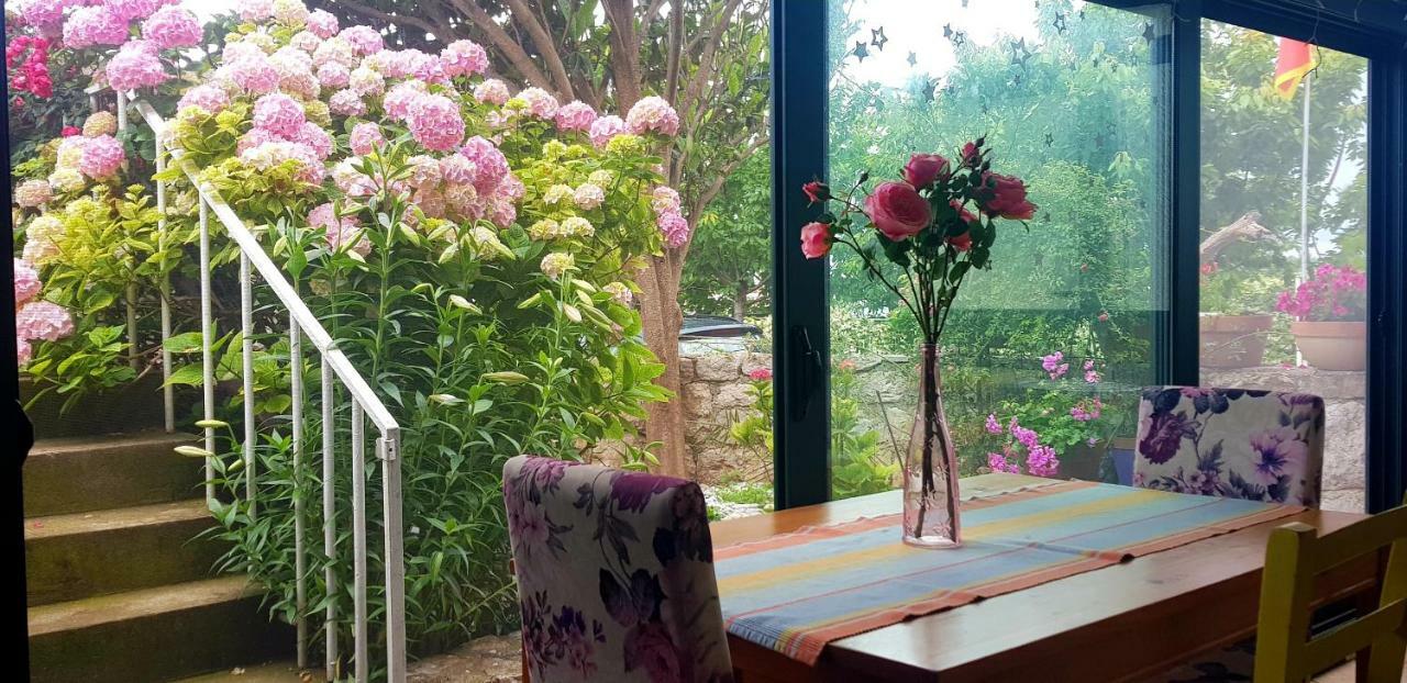 Boutique Home Saltaragazza Petrovac Екстериор снимка