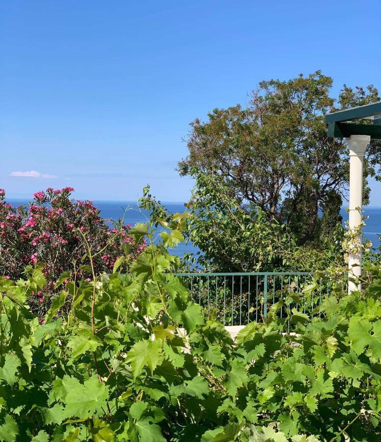 Boutique Home Saltaragazza Petrovac Екстериор снимка